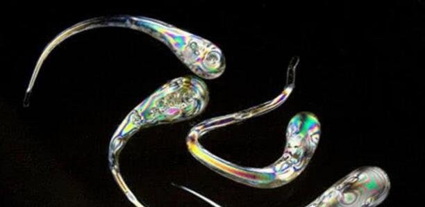 魯伯特之淚玻璃 2_190615090004_1_看圖王.jpg